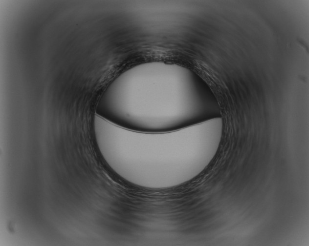 X0000094910760200711291000