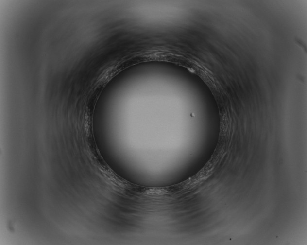X0000094910762200711291000