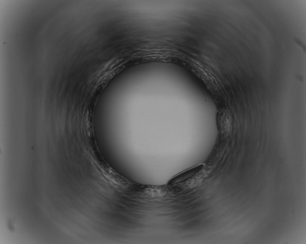 X0000094910764200711291000
