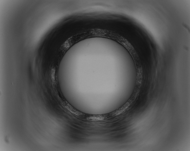 X0000094910765200711291000