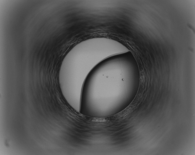 X0000094910767200711291000