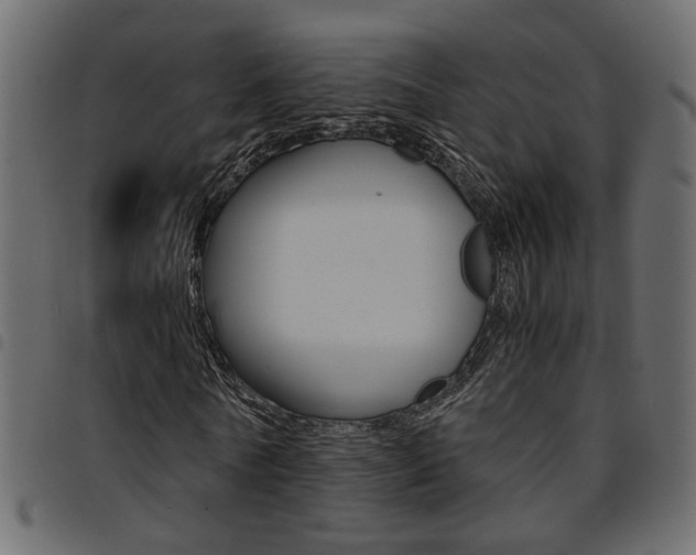 X0000094910770200711290959