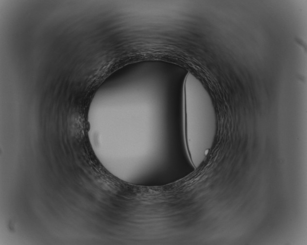 X0000094910772200711290959