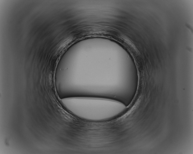 X0000094910777200711290959