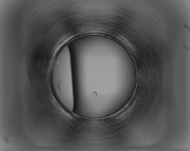 X0000094910790200711290959