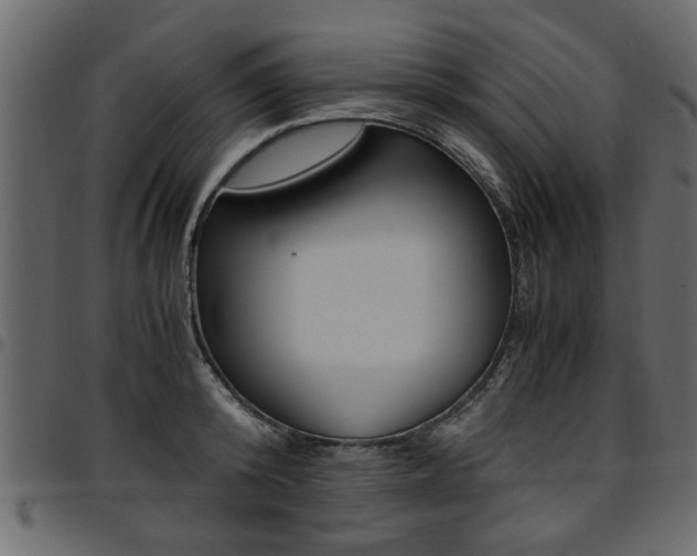 X0000094910800200711290958