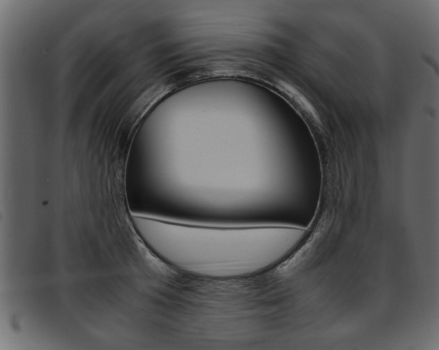 X0000094910801200711290958