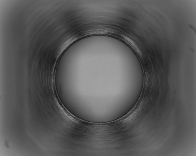 X0000094910802200711290958