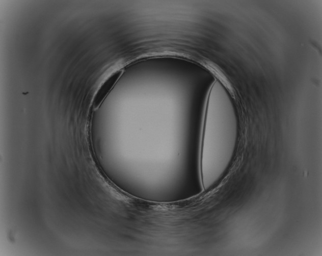 X0000094910805200711290958