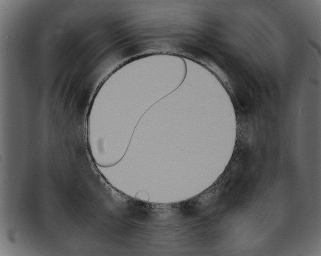X0000094910807200711290958