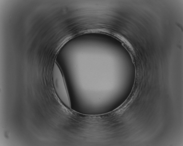 X0000094910809200711290958