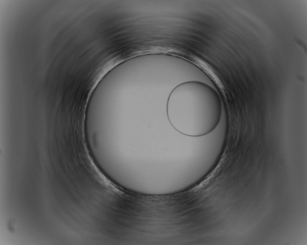 X0000094910810200711290958