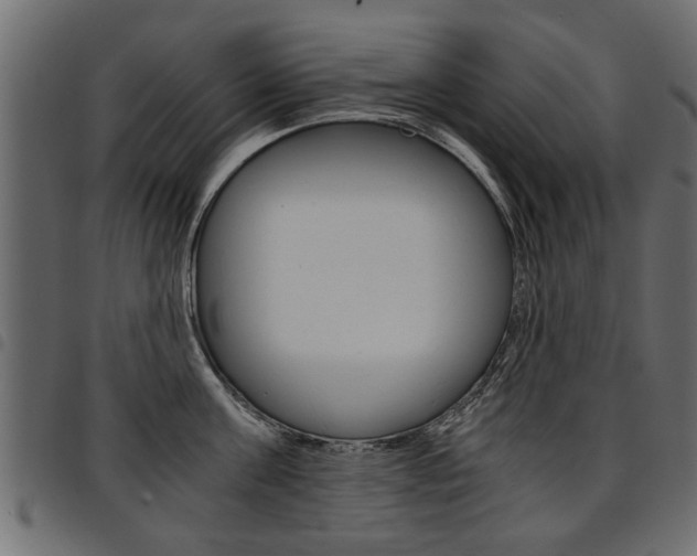 X0000094910811200711290958