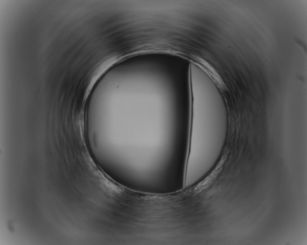 X0000094910812200711290958