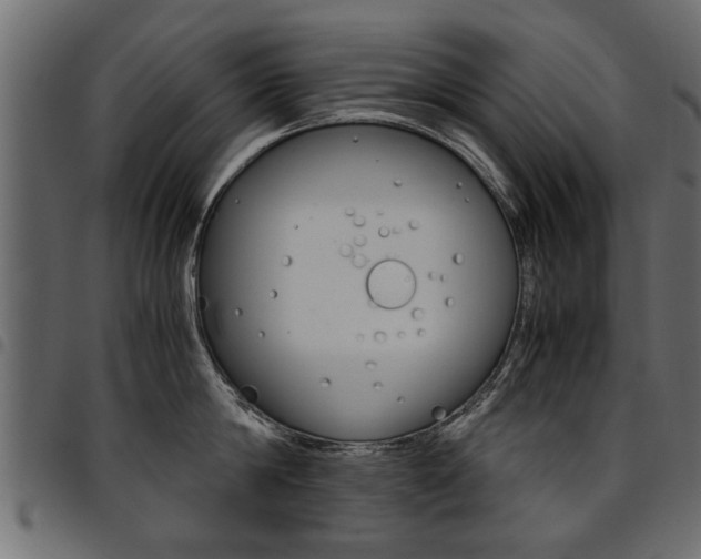 X0000094910814200711290958