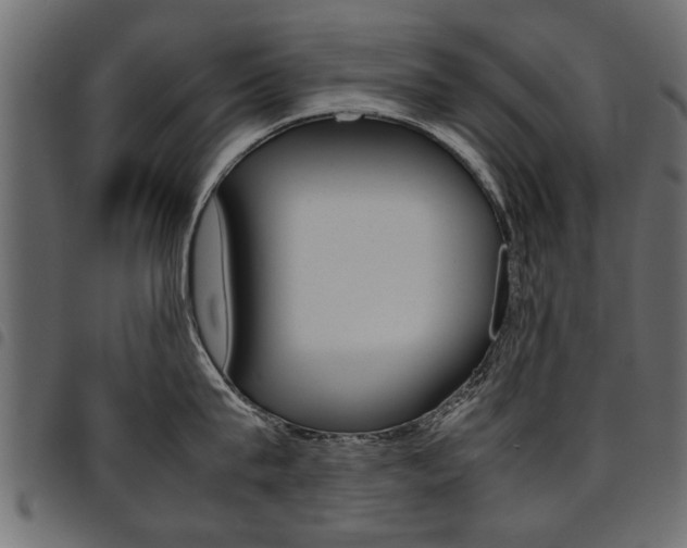 X0000094910815200711290958