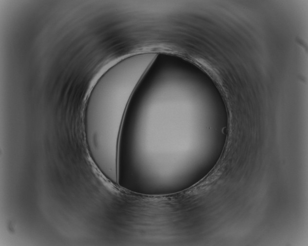 X0000094910816200711290958