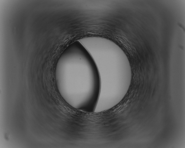 X0000094910817200711290958