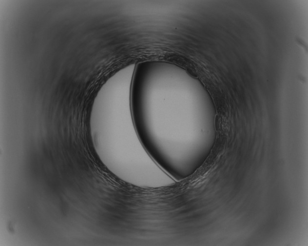 X0000094910818200711290958