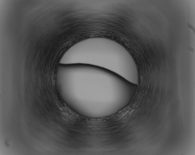 X0000094910819200711290958