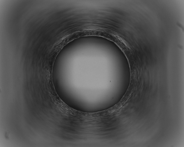 X0000094910821200711290958