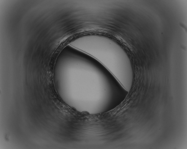 X0000094910822200711290958