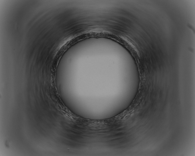 X0000094910823200711290958