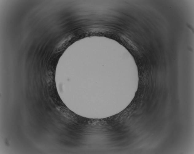 X0000094910824200711290958