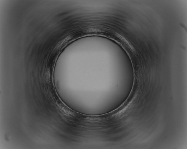 X0000094910825200711290958