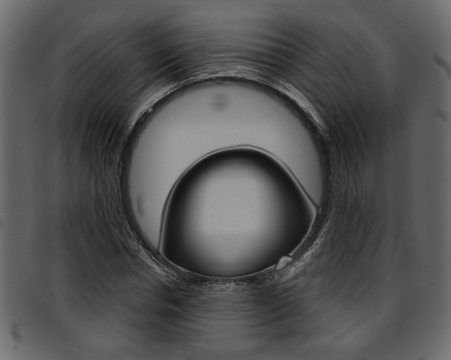 X0000094910826200711290958