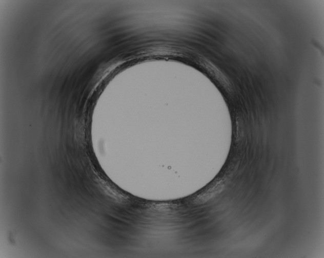 X0000094910828200711290958