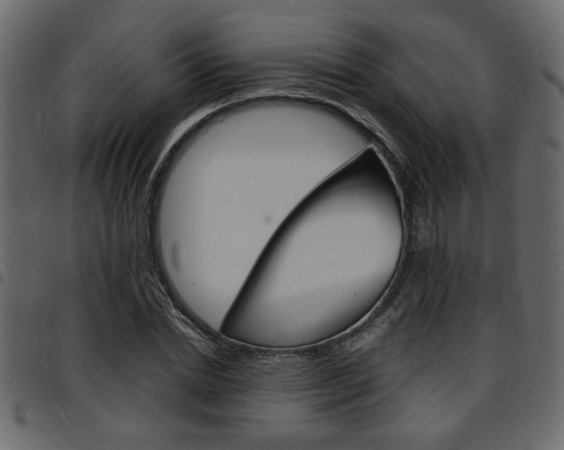 X0000094910830200711290958