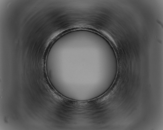 X0000094910831200711290958