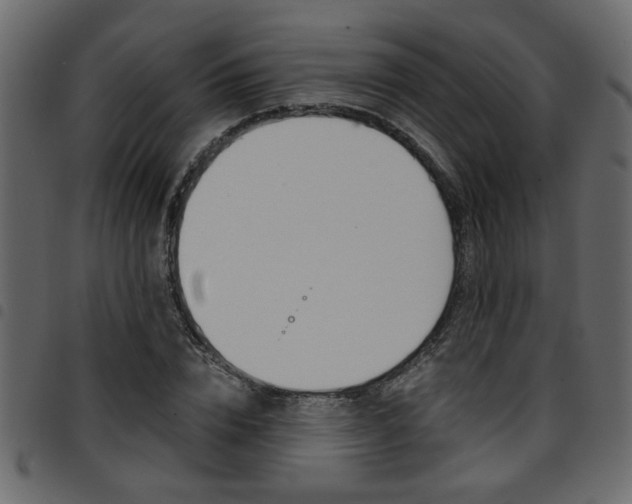 X0000094910832200711290958
