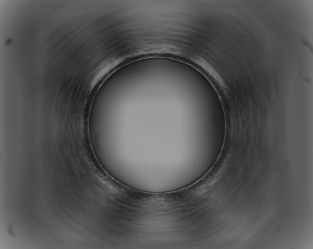 X0000094910834200711290958