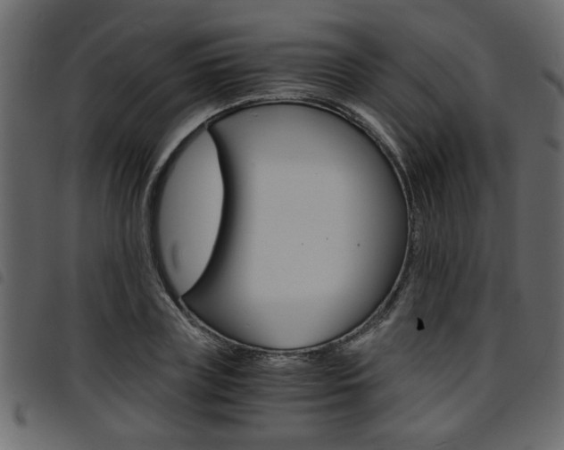 X0000094910835200711290958