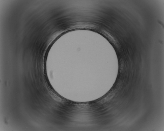 X0000094910836200711290958
