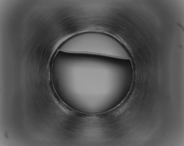 X0000094910838200711290958