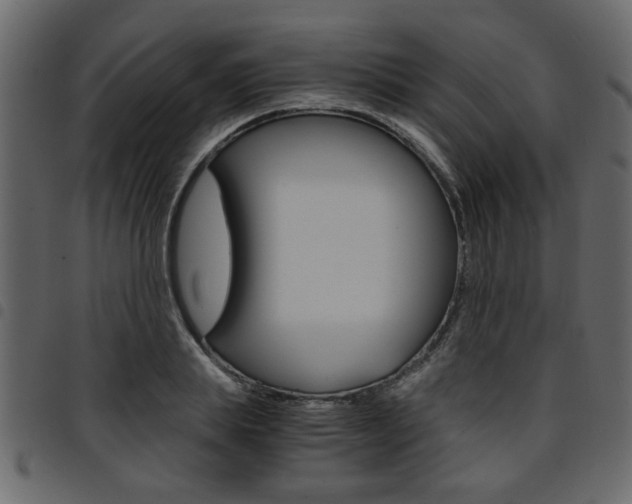 X0000094910839200711290958