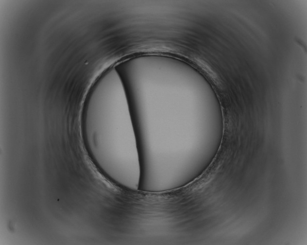 X0000094910840200711290958