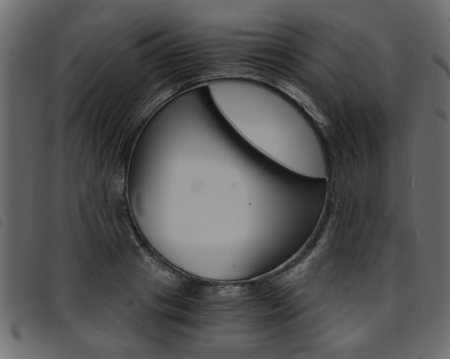 X0000094910841200711290958