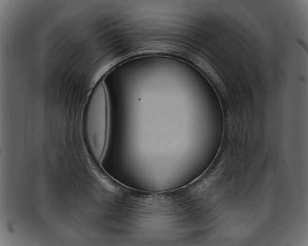 X0000094910842200711290958