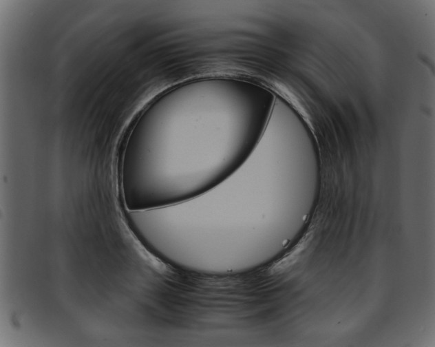 X0000094910843200711290958