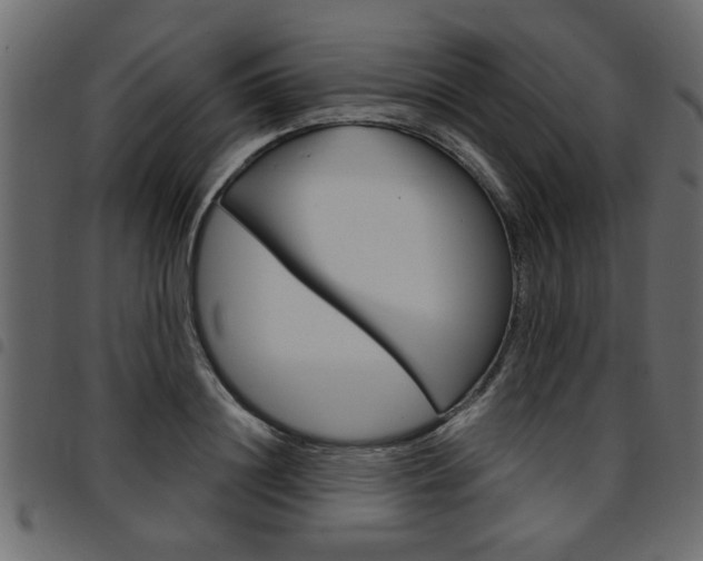 X0000094910844200711290958
