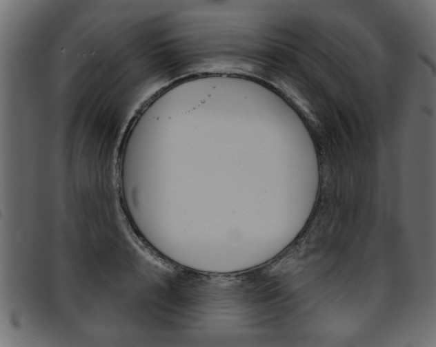 X0000094910848200711290958
