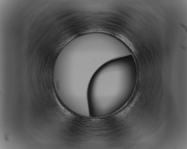 X0000094910849200711290958
