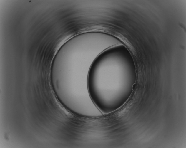 X0000094910850200711290958