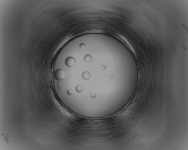 X0000094910851200711290958
