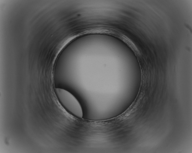 X0000094910852200711290958