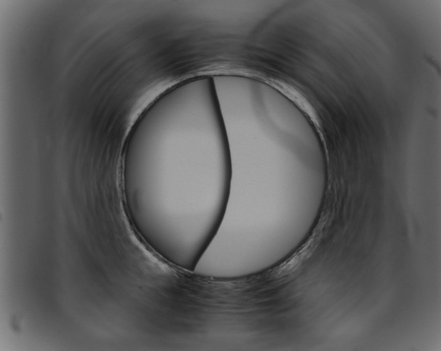 X0000094910855200711290958